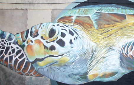 Transforming the cities into art galleries: STREET ART