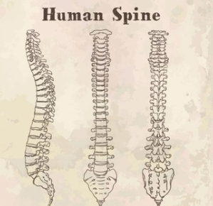 Scoliosis