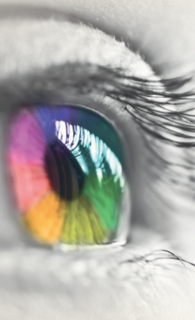 Color Vision