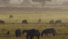 A Family in East Africa