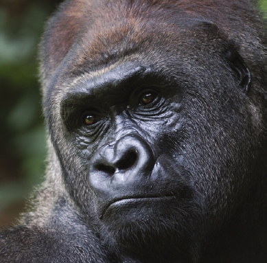 Famous Zoo: A Trip To The Zoo