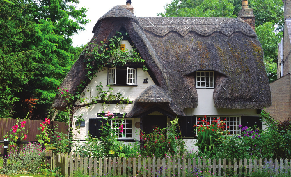 My Dream Home