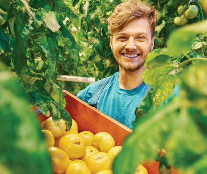 Willing Workers on Organic Farms (WWOOF)