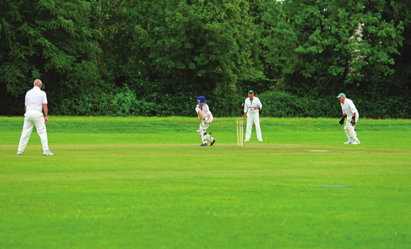 Cricket