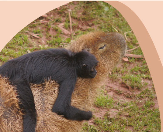 The Friendliest Animal in the World