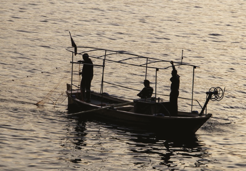 The Fisherman and the Businessman