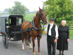 The Amish: Living Simple in a Modern World