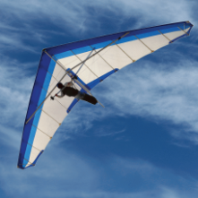 FLYING HIGH