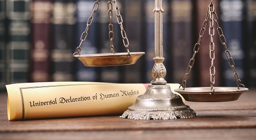 Essay about Human Rights: Rights and Freedoms