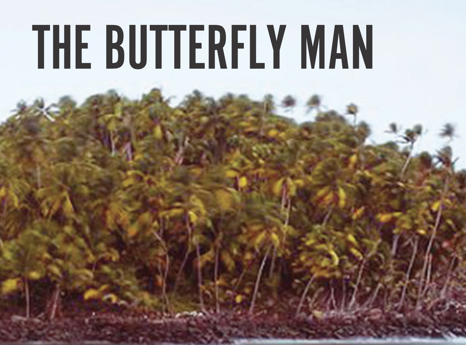The Butterfly Man