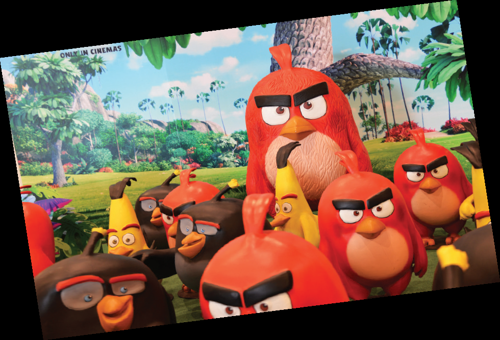 ANGRY BIRDS