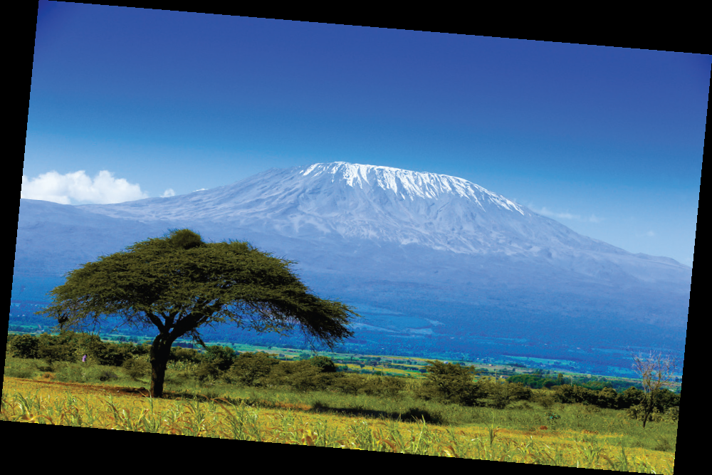 Climbing Kilimanjaro