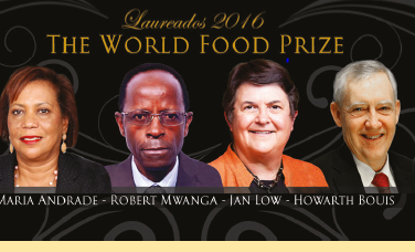 Prize-winning Sweet Potatoes