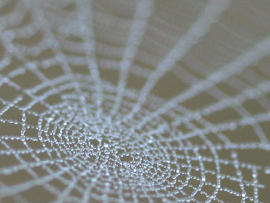 MAN-MADE SPIDER WEB