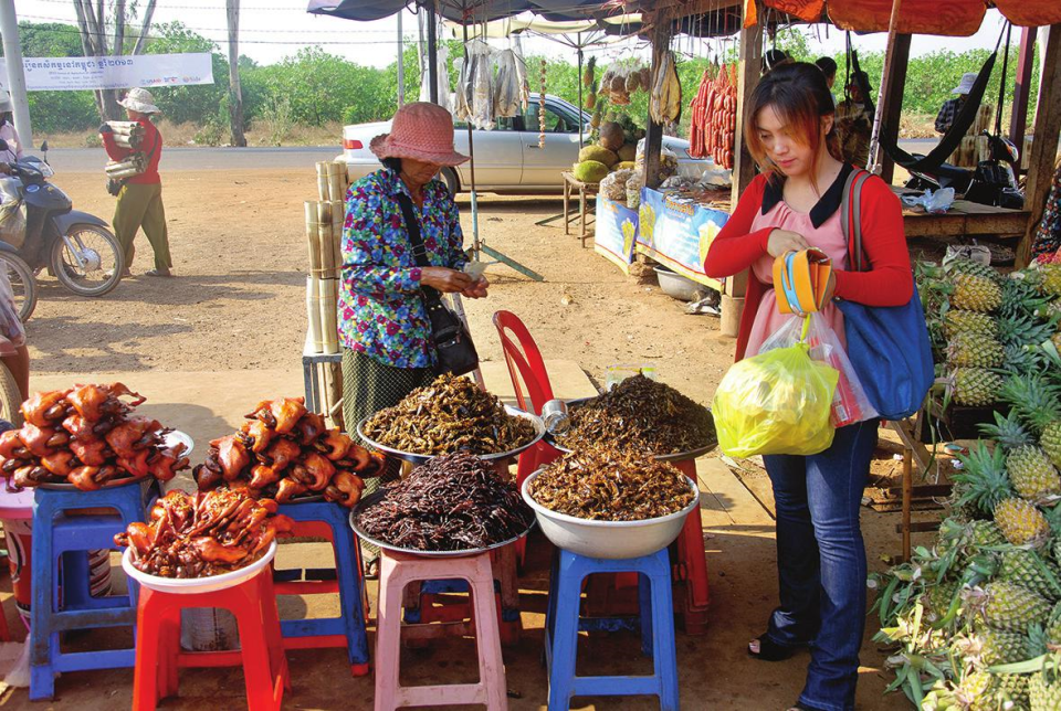 Reading: UNUSUAL FOOD AROUND THE WORLD