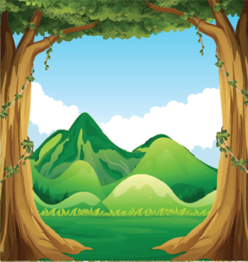 A School Trip to the Forest