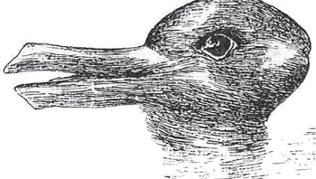 Optical Illusions