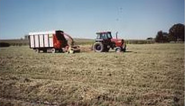 Condon Family Farm