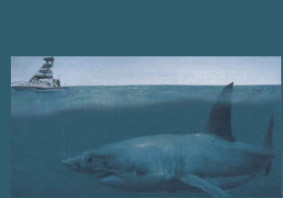 Megalodon