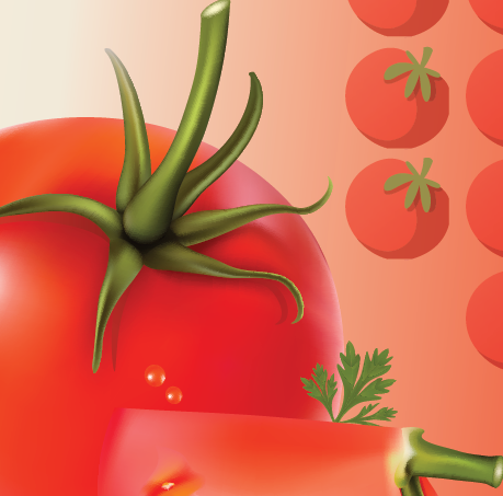 About La Tomatina