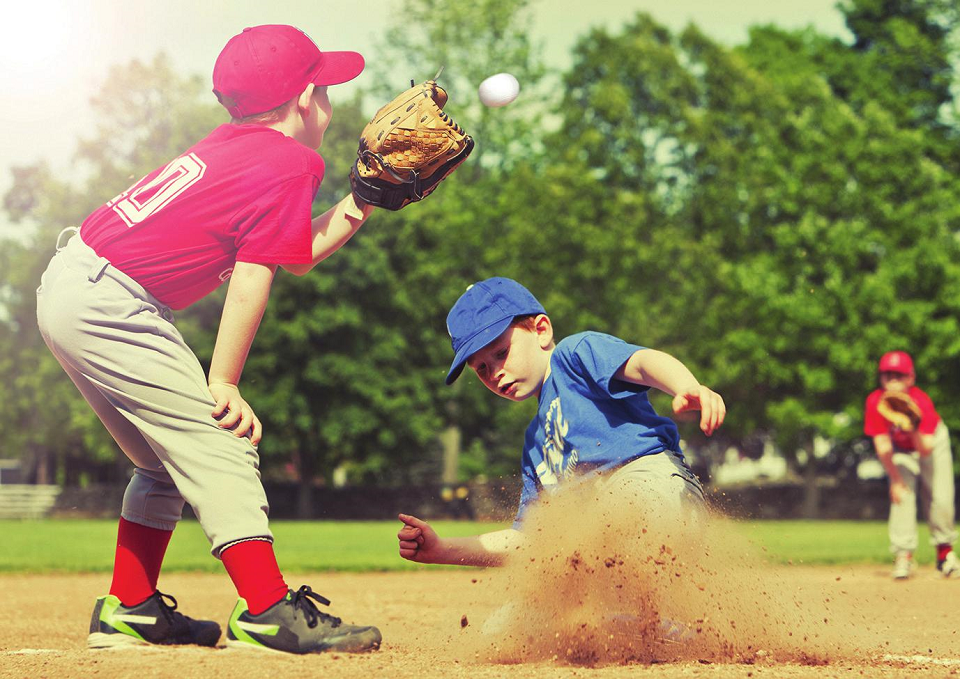 Professional Baseball Player
