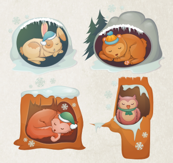 HIBERNATION