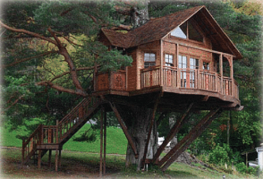 THE TREE HOUSE
