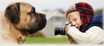 Photographing Animals