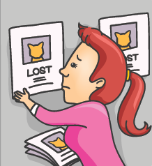 LOST PET