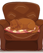 The Little Puppy