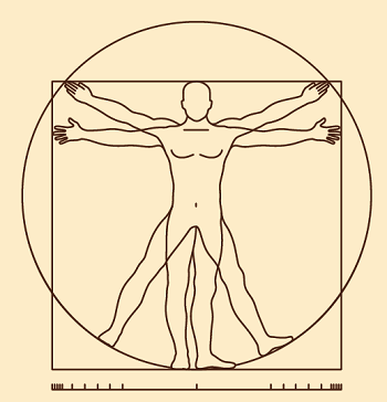 Art Meets Architecture: Vitruvian Man by Leonardo Da Vinci