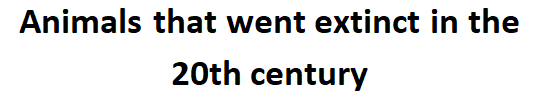 Animals that went extinct in the 20th century