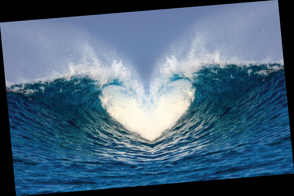 Love And Death In The Sea