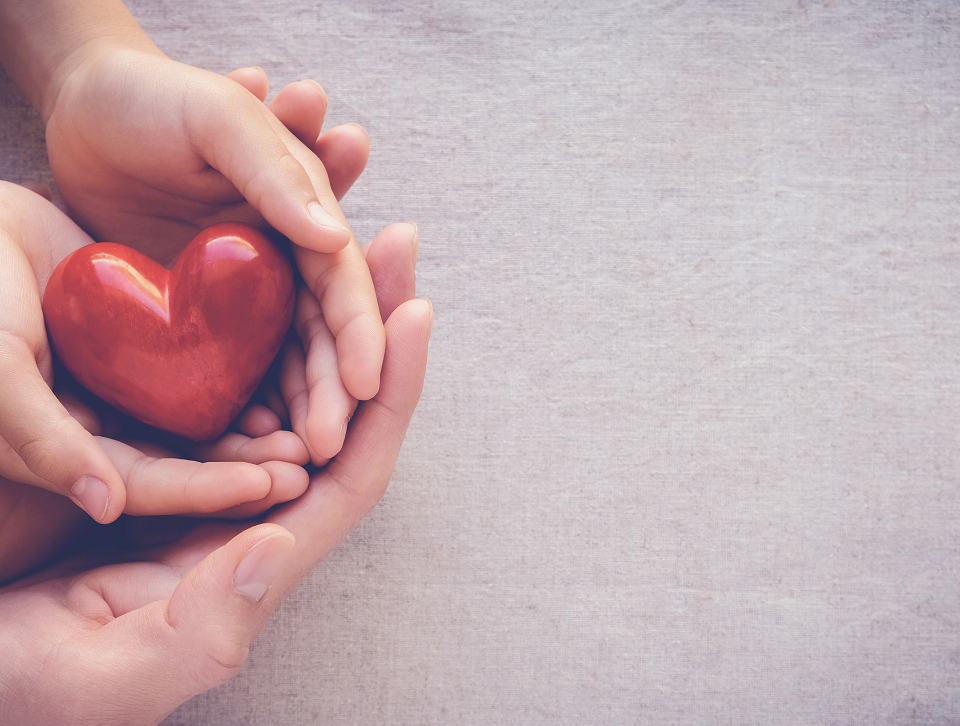 Celebrities and Charities