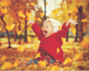 BUILDING HAPPINESS INTO YOUR LIFE