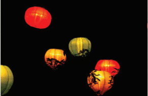 The Chinese New Year Festival