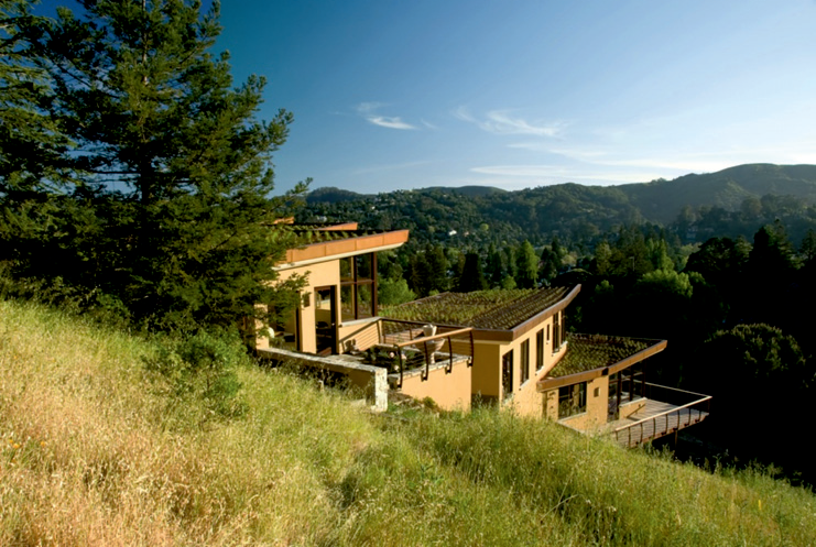 Our Green Home