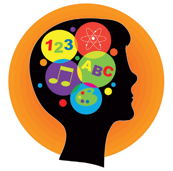 Your Amazing Brain