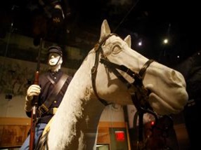 MADAME TUSSAUD’S