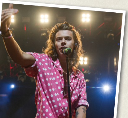 CELEBRITY PROFILES: INTERVIEW WITH HARRY STYLES