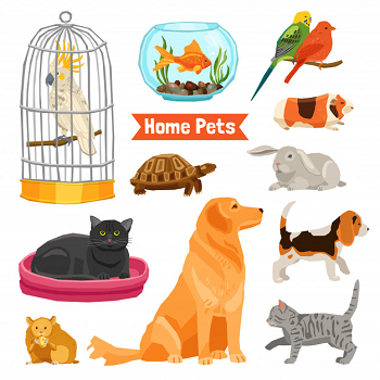 River's Pet Animals
