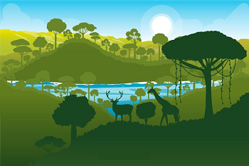 A Visit to the Reserve