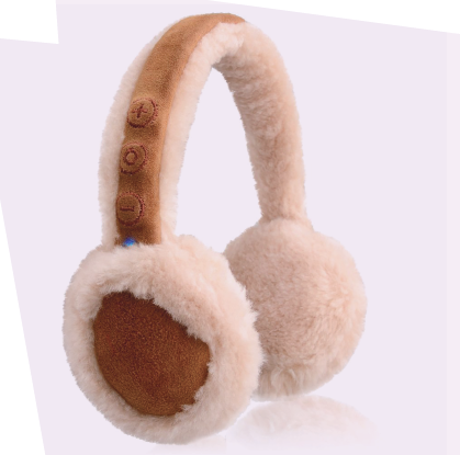 EARMUFFS
