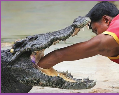 An unusual job – a job for you?